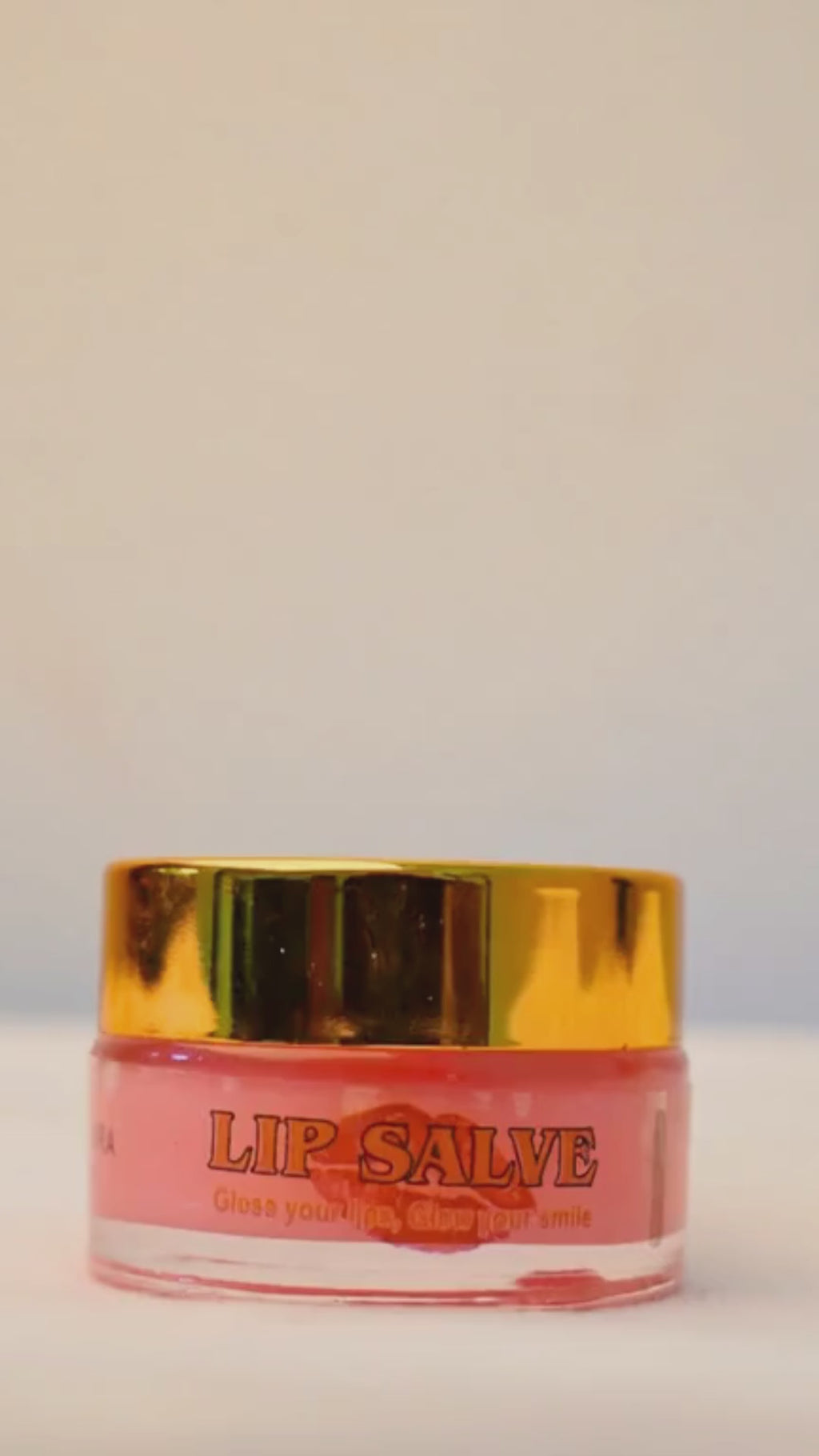 Moisturizing Lip Salve (20 Gram)